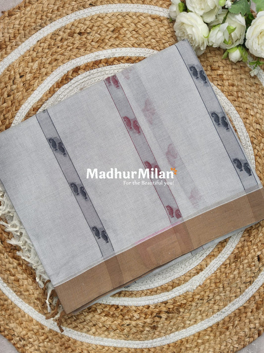 SUTI PIN STRIPES BORDER COTTON SAREE GREY