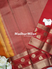 KANCHI BUTTA BENTEX BORDER SAREE GOLDEN YELLOW RED