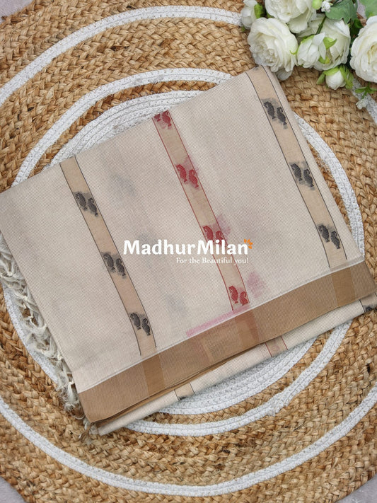 SUTI PIN STRIPES BORDER COTTON SAREE BEIGE
