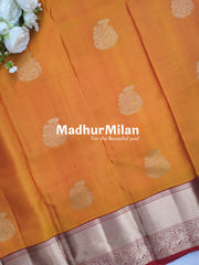 KORVAI BUTTA BORDER SAREE GOLDEN YELLOW RED