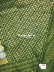 SHANTALA TISSUE SILK SAREE DUSTY GREEN DARK GREEN