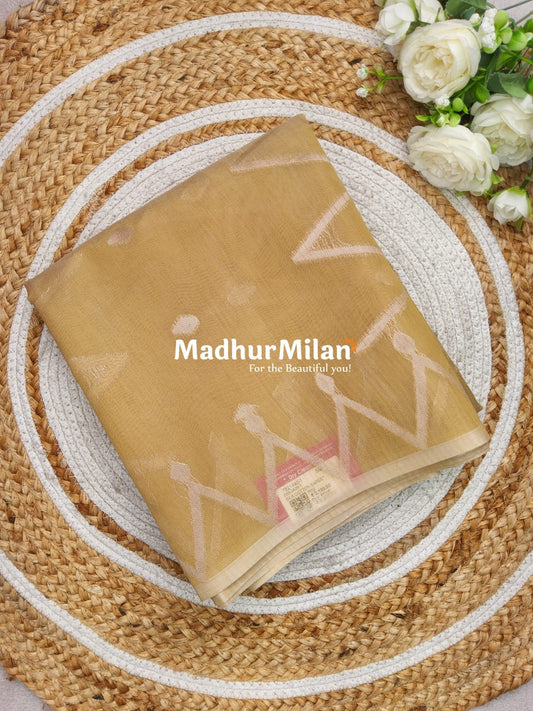 KOVAI ZIG ZAG BORDER SILK COTTON SAREE GOLDEN BEIGE