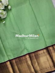 KORVAI CHECKS SAREE PISTA BROWN