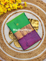 KORVAI BUTTA BORDER LINES BORDER SAREE RAMA PURPLE