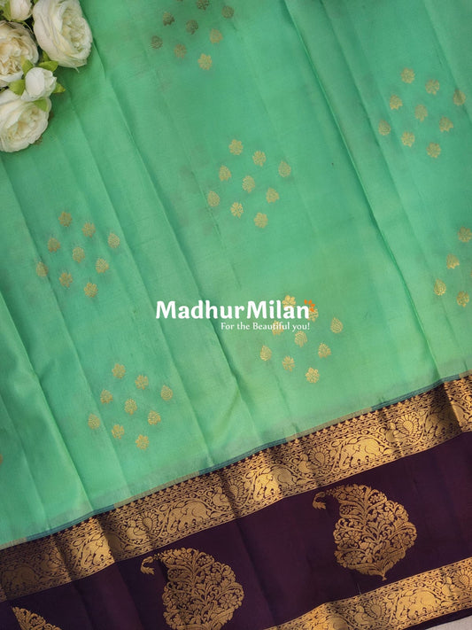KANCHI BUTTA BENTEX BORDER SAREE AQUA WINE