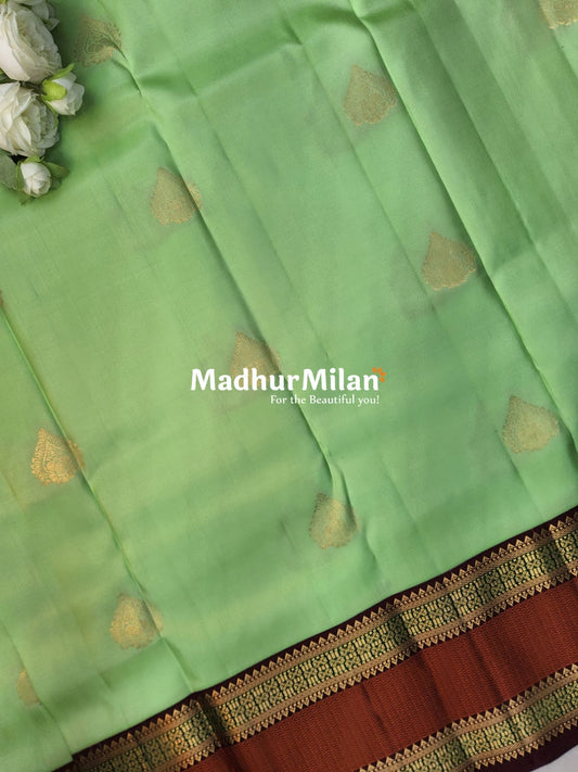 KANCHI BUTTA BORDER SAREE PISTA MAROON